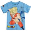 EMA CHLAPECKE TRICKO DRAGONBALL MODRE