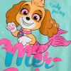 ema divci pyzamo paw patrol skye morska panna tyrkysove 0