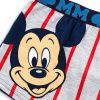 f0 boxerky mickey sede 1b