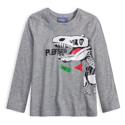 Chlapčenské tričko GLO STORY DINO EAT YOU šedý melír