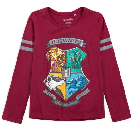 Dievčenské tričko HARRY POTTER DRACO vínové