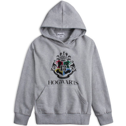 Chlapčenská mikina HARRY POTTER ROKFORT šedá