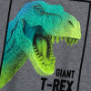 Chlapčenské tričko KYLY GIANT T-REX šedé