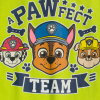 Detské tričko PAW PATROL TEAM zelené