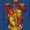 Chlapčenské tričko HARRY POTTER CHRABROMIL modré