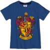Chlapčenské tričko HARRY POTTER CHRABROMIL modré