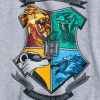 Dievčenské tričko HARRY POTTER DRACO šedé