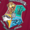 Dievčenské tričko HARRY POTTER DRACO vínové