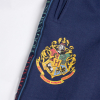Chlapčenské tepláky HARRY POTTER HOGWARTS modré