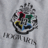 Chlapčenská mikina HARRY POTTER ROKFORT šedá