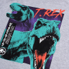 Chlapčenské pyžamo JURRASIC WORLD T-REX šedé