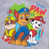 Chlapčenské pyžamo PAW PATROL TEAM šedé