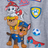 Chlapčenské tričko PAW PATROL PLAYTIME šedé
