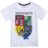 Chlapčenské tričko HARRY POTTER ROKFORT biele