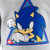 Chlapčenská mikina SONIC SPEED šedá