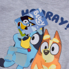 Detské tričko BLUEY šedé