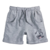 Chlapčenské šortky VENERE AWESOME šedé