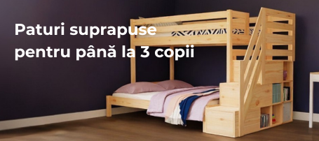 inregistrare