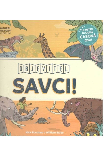 Savci