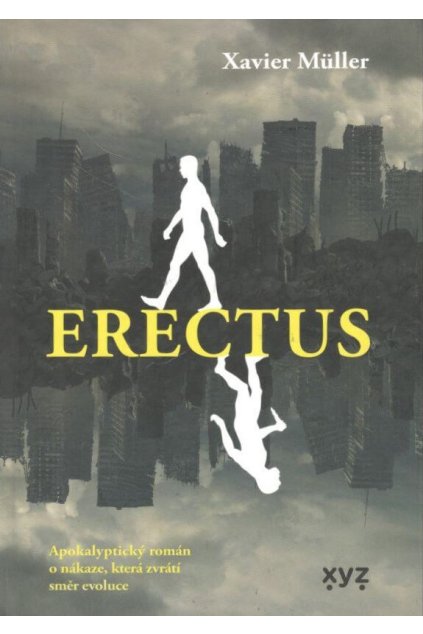 Erectus