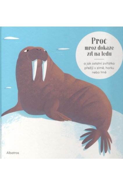 Proč mrož dokáže žít na ledu