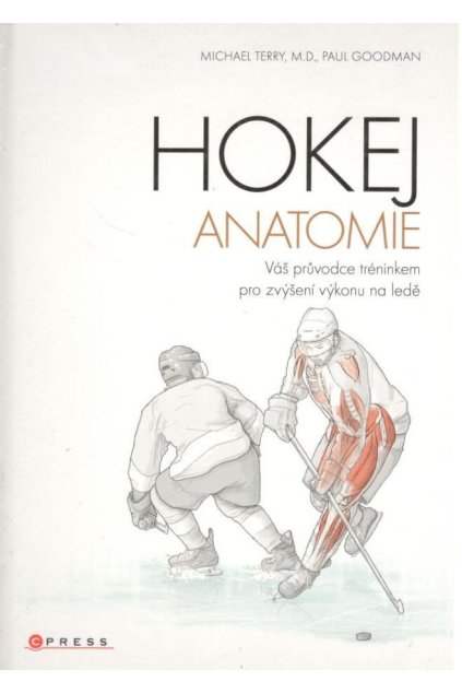 Hokej