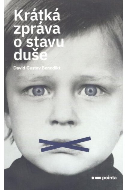 Krátká zpráva o stavu duše