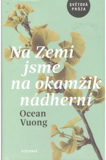 Na Zemi jsme na okamžik nádherní