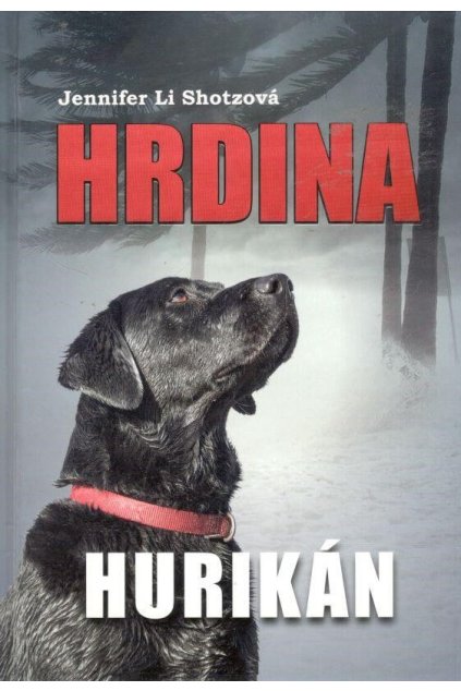 Hurikán
