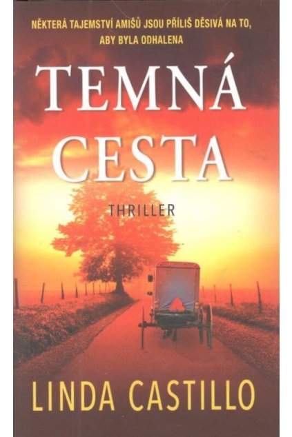 Temná cesta