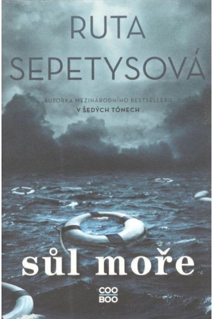 sůl moře