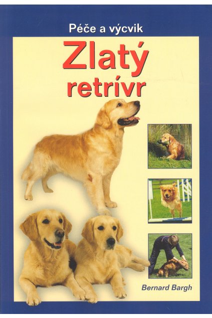 Zlatý retrívr - péče a výcvik