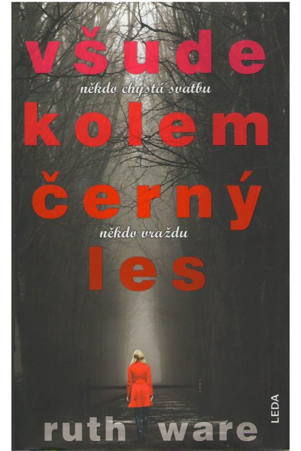 Všude kolem černý les