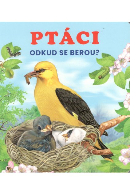 Ptáci: Odkud se berou!