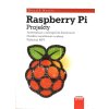Raspberry Pi