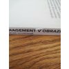 Management v obrazech