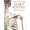 Jak funguje lidská kostra
