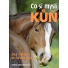 Co si myslí kůň
