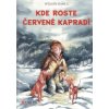 Kde roste červené kapradí