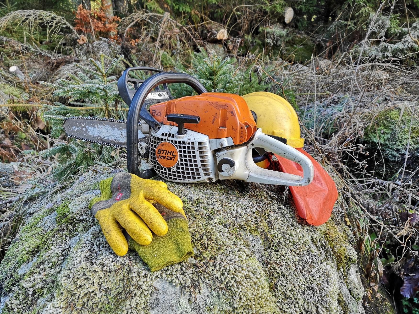 Rizikové kácení stromů