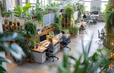 Údržba interiérové zeleně