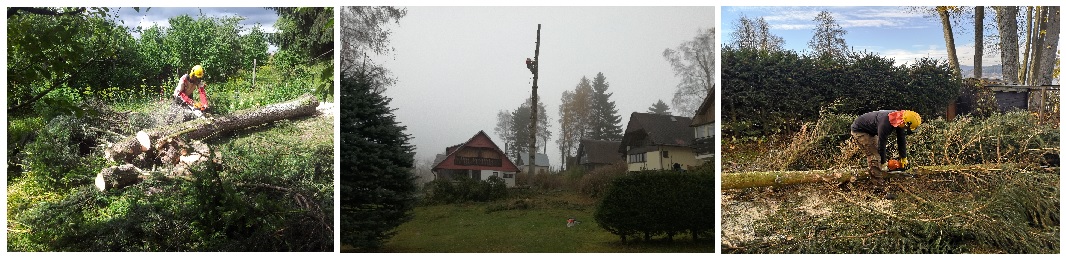 Rizikove-kaceni-stromu-Berdea