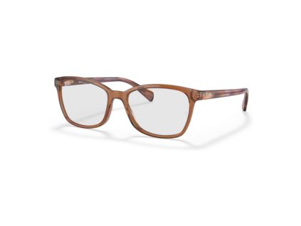 Photoroom 20250607 154936