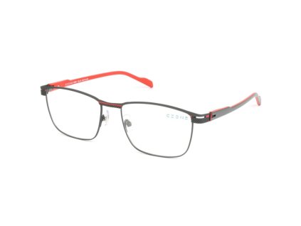 ZONE B2393 (Farba C30)