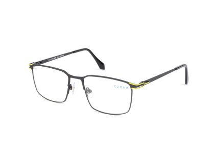 ZONE B2396 (Farba C20)