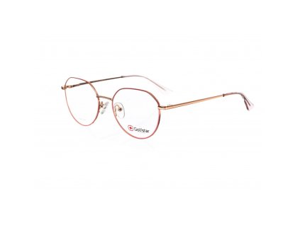 GOLFSTAR 4904 (Farba C1)