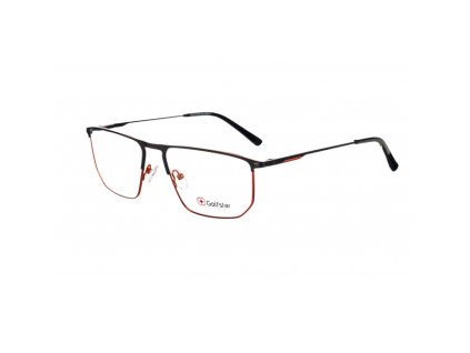 GOLFSTAR 4906 (Farba C1)