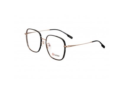 GOLFSTAR 4923 (Farba C1)