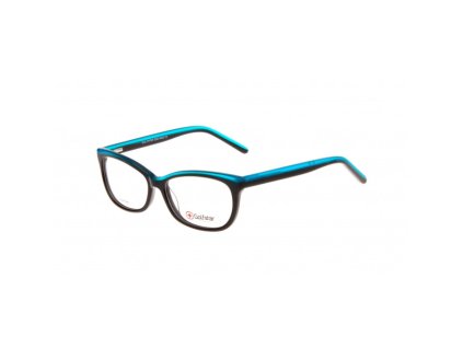 GOLFSTAR 4602 (Farba C3)