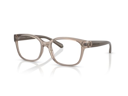 Armani Exchange 0AX3098 (Farba 8240 - Lesklá priehľadná tundra)